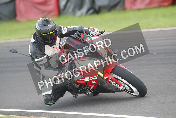 BIKES 1390