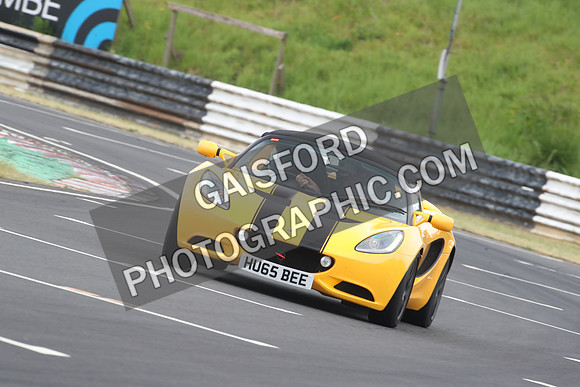 LOTUS 0377