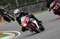 BIKES 0598