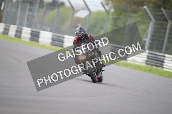 BIKES 1306