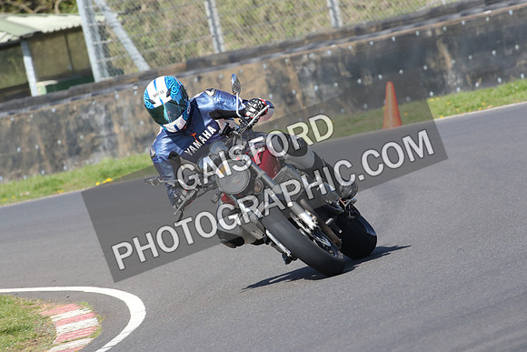 BIKES 0742