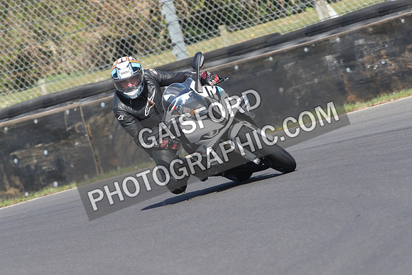 BIKES 0559