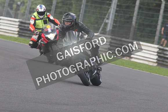 BIKES 1566