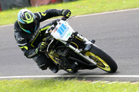 Fowlers 0813
