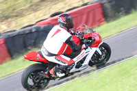 Fowlers 0440